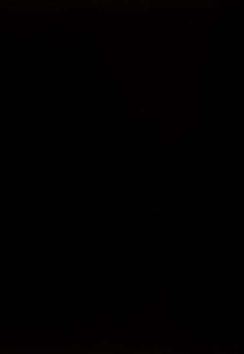 Kimonte - Rectangular Dining Room Table - Dark Brown